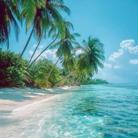 Slowly - Single - CEJA