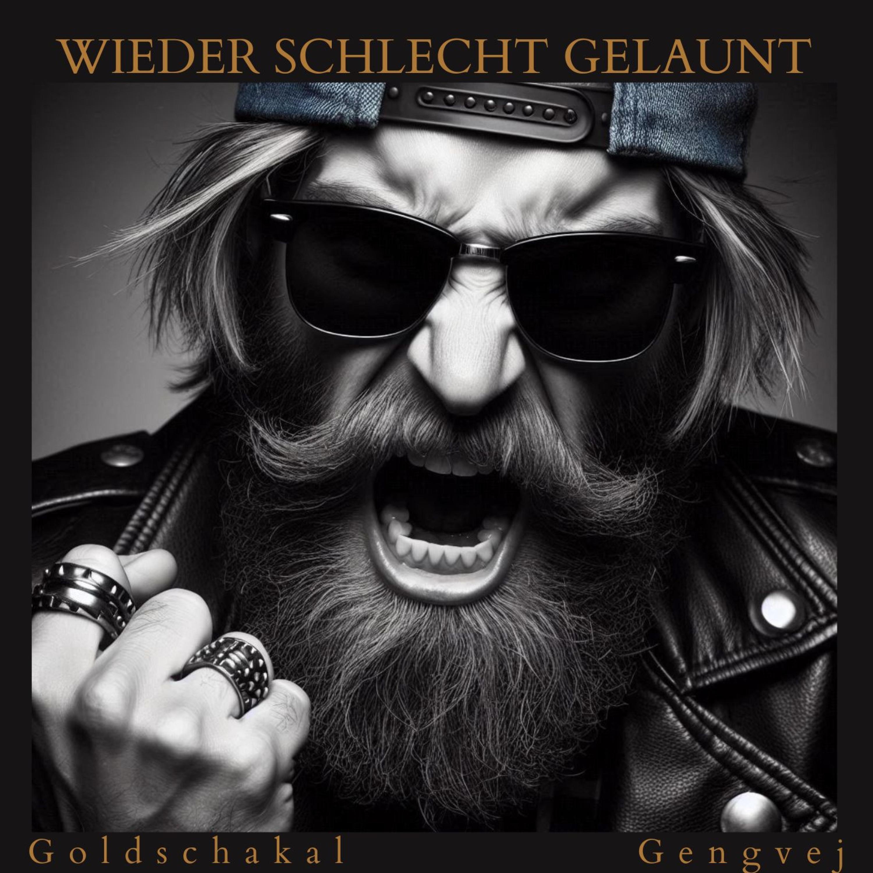 Wieder schlecht gelaunt - Single