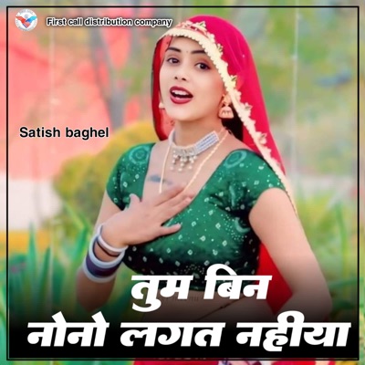 Tum Bin Nono Lagat Nahiya - Single