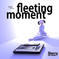 Fleeting Moment - Single - Sherry CD-ROM
