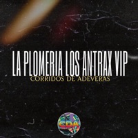 La Plomeria los Antrax Vip - Single - Corridos De Adeveras