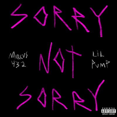 Sorry Not Sorry (feat. Lil Pump) - Single