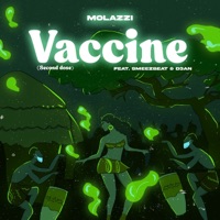 Vaccine (Second Dose) - Single - Molazzi