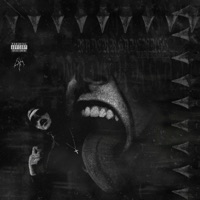 VSTANEM - Single - waderrhabemuss