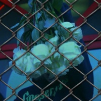 FENCES (feat. HXMESWEETHXME) - Single - XAINCOOK