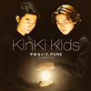 やめないで, PURE - KinKi Kids
