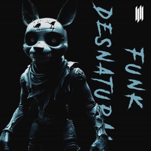 FUNK DESNATURAL