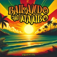Bailando um Mambo - Single - Flip & Real Kingg
