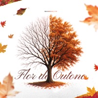 Flor de Outono - Single - Mannda Lym