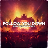 Follow You Down (Hardtechno Remix) artwork