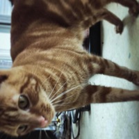 hurry up & choose - Single - selfloadingimage