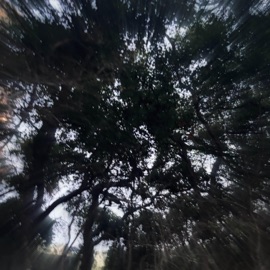 Jacob and the Stone Althahel