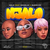 NJALO (feat. Moozlie & Buzzi Lee) - Single - Nelz