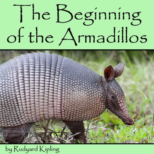 The Beginning of the Armadillos [Russian Edition] (Unabridged) cover
