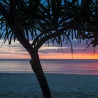 Nie Przestane Patrzec - Single - oli