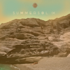 Various Artists - Summer Sol IX artwork