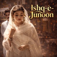 Ishq e Junoon - Single - NM