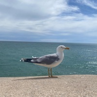 Niña de mi corazón - Single - Viloria Compositor