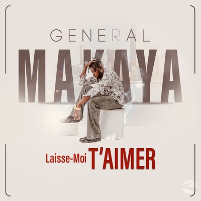 Laisse-moi t'aimer - Single