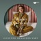 Slavonic Dances, Op. 72, B. 83: No. 2, Dumka (Arr. Lehn for Trumpet and Orchestra) artwork