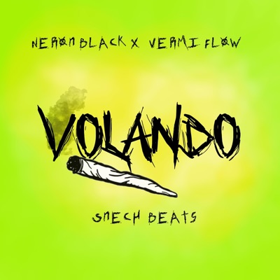 VOLANDO (feat. Vermi Flow) - Single