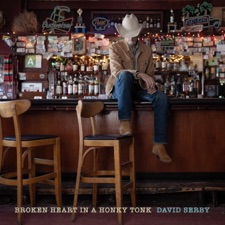 Broken Heart in a Honky Tonk