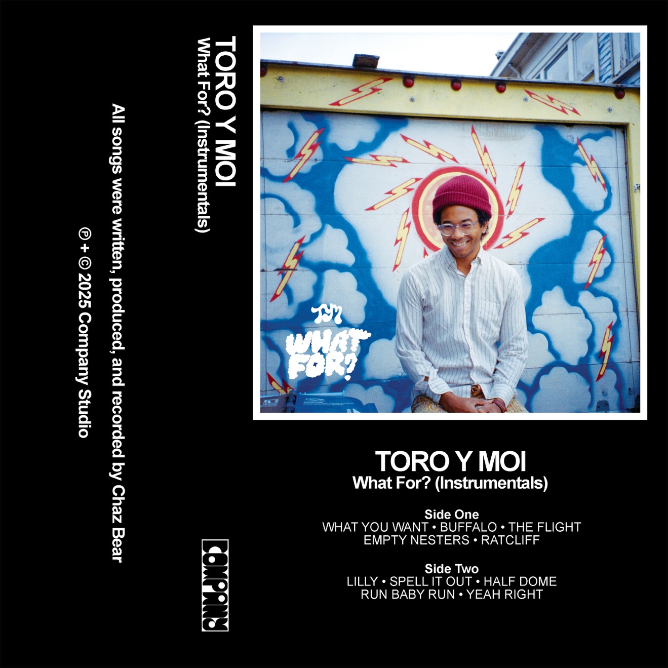 Toro y Moi – What For? (Instrumentals) (2025) [iTunes Match M4A]
