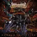 Enfleshed