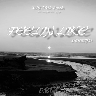 Feelin Like - Single