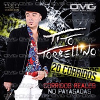 20 Corridos: Corridos Reales No Payasadas - Tito Torbellino