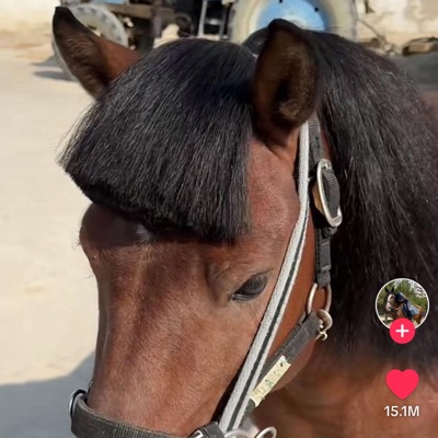 roadorsomething - Single