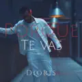 ¿POR QUÉ TE VAS?