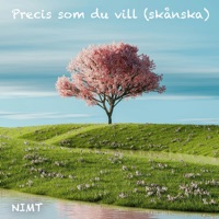 Precis Som Du Vill (Skånska) - Single - Nimt