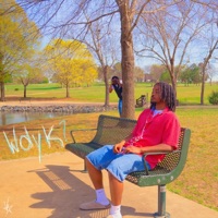 wdyk? - Single - Virtual Vrss & Vrss