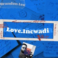 Love.Incwadi - Single - Brandon Leo