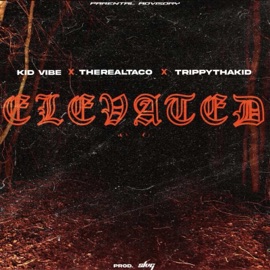 Elevated (feat. Ortiz) TheRealTaco, Kid Vibe, TrippythaKid & SLVG