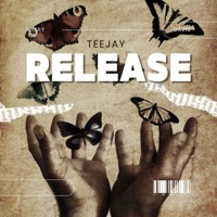 Album cover for Girl On Fire (feat. Armanii) by Teejay