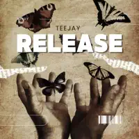 Fire On — Teejay