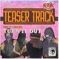 TURN IT OUT (feat. ENVIOU$) - Single - Lunarnm