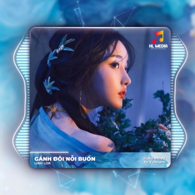 Gánh Đôi Nỗi Buồn (Remix) - Single