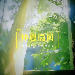 仲夏微风 - Single