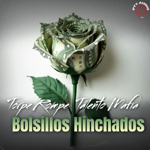 Bolsillos Hinchados (feat. Pty Audio)