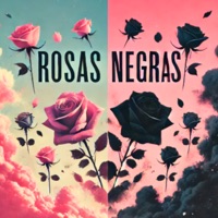 Rosas Negras - Single - Grupo Disruptivo