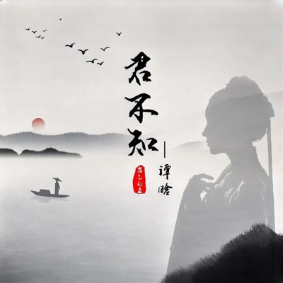 譚晗 - 君不知 (Remix)