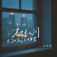 初来人间不知生活的苦 (你所见即是我) - Single - 刘阳阳