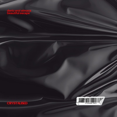 Crystalised (feat. Ali Naci Temel & Beautiful Escape) - Single