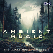 Ambient Music - A.R. Rahman, Amjad Bagadwa & Anand-Milind