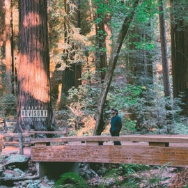 El Behique PAZ el Pana