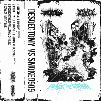 Caught With A Torso - Single