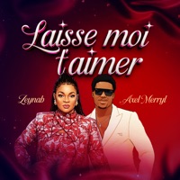 Laisse Moi T'aimer (feat. Axel Merryl) - Single - Zeynab